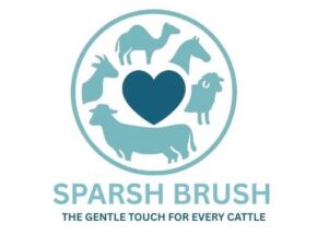 Sparsh Brush