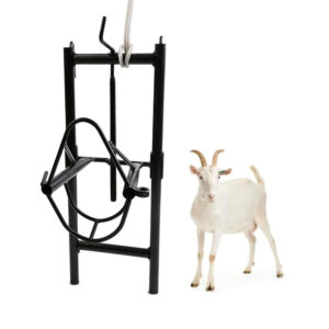 Goat Sheep Head Fixing Rack