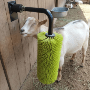 Wall Mount Swing Brush for Goat