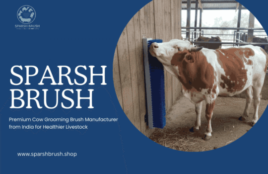 Cow Grooming Brushes